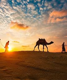 قافلة جمال عند الشروق